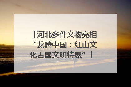河北多件文物亮相“龙腾中国：红山文化古国文明特展”