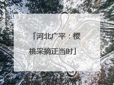 河北广平：樱桃采摘正当时
