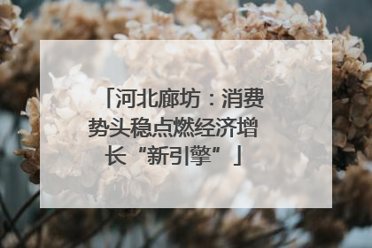 河北廊坊：消费势头稳点燃经济增长“新引擎”