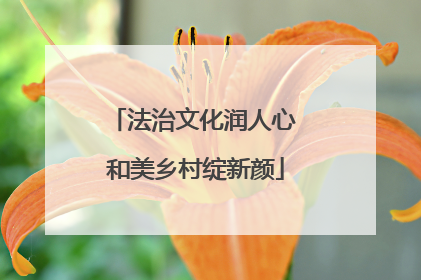 法治文化润人心 和美乡村绽新颜