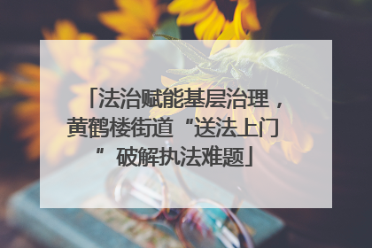 法治赋能基层治理，黄鹤楼街道“送法上门”破解执法难题