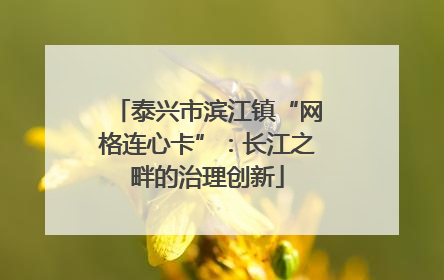 泰兴市滨江镇“网格连心卡”：长江之畔的治理创新