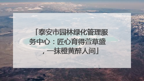 泰安市园林绿化管理服务中心:匠心育得萱草盛,一抹橙黄醉人间