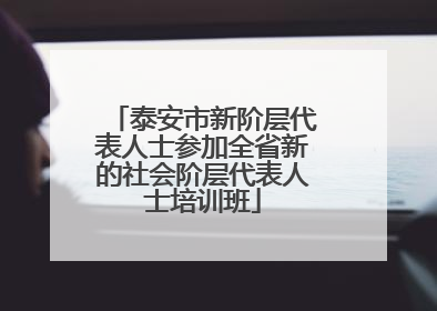 泰安市新阶层代表人士参加全省新的社会阶层代表人士培训班