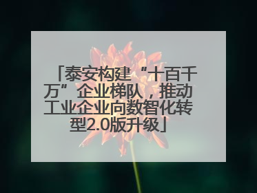 泰安构建“十百千万”企业梯队，推动工业企业向数智化转型2.0版升级