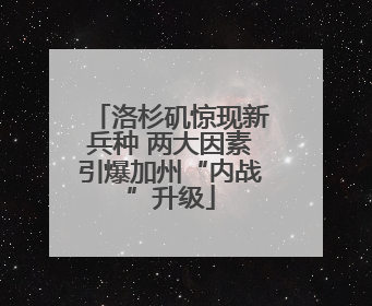 洛杉矶惊现新兵种 两大因素引爆加州“内战”升级