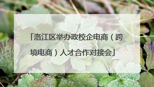 洛江区举办政校企电商（跨境电商）人才合作对接会