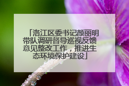 洛江区委书记颜丽明带队调研督导巡视反馈意见整改工作，推进生态环境保护建设