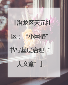 洛龙区天元社区：“小网格”书写基层治理“大文章”