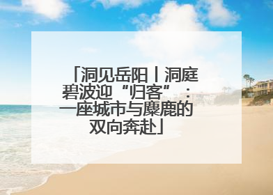 洞见岳阳丨洞庭碧波迎“归客”：一座城市与麋鹿的双向奔赴