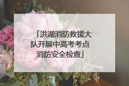 洪湖消防救援大队开展中高考考点消防安全检查
