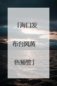 海口发布台风黄色预警