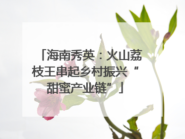 海南秀英：火山荔枝王串起乡村振兴“甜蜜产业链”