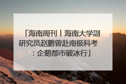 海南周刊丨海南大学副研究员赵鹏曾赴南极科考：企鹅都市破冰行