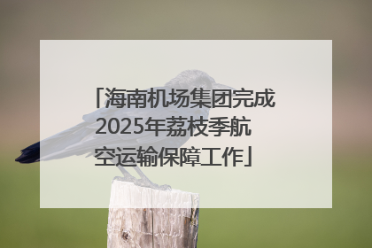 海南机场集团完成2025年荔枝季航空运输保障工作