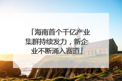海南首个千亿产业集群持续发力，新企业不断涌入赛道