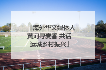 海外华文媒体人黄河寻麦香 共话运城乡村振兴