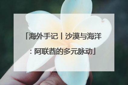 海外手记丨沙漠与海洋：阿联酋的多元脉动