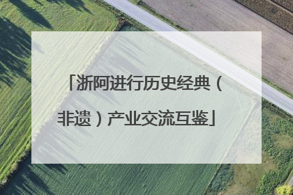 浙阿进行历史经典（非遗）产业交流互鉴