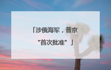 涉俄海军，普京“首次批准”