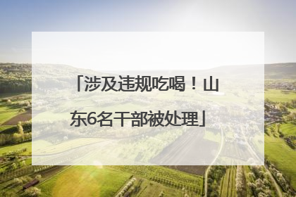 涉及违规吃喝！山东6名干部被处理