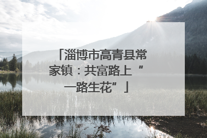 淄博市高青县常家镇：共富路上“一路生花”