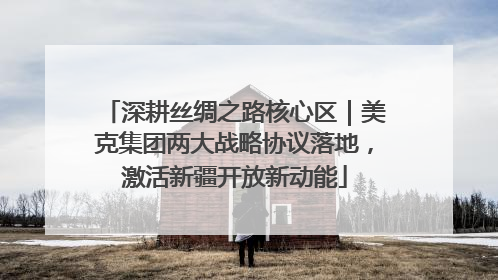 深耕丝绸之路核心区｜美克集团两大战略协议落地，激活新疆开放新动能