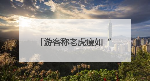 游客称老虎瘦如“卡片”？北京动物园：体重正常，饲料能保障营养需求
