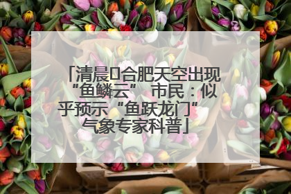 清晨﻿合肥天空出现“鱼鳞云” 市民：似乎预示“鱼跃龙门” 气象专家科普