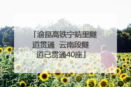 渝昆高铁宁靖里隧道贯通  云南段隧道已贯通40座