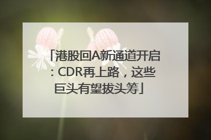 港股回A新通道开启：CDR再上路，这些巨头有望拔头筹