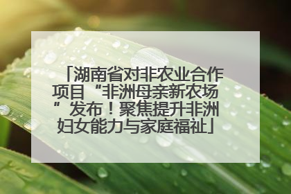 湖南省对非农业合作项目“非洲母亲新农场”发布！聚焦提升非洲妇女能力与家庭福祉
