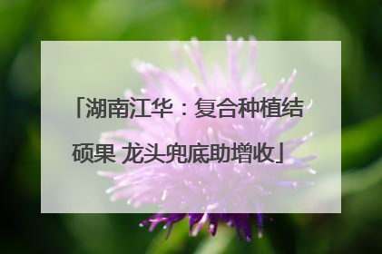湖南江华：复合种植结硕果 龙头兜底助增收