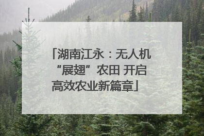 湖南江永：无人机“展翅”农田 开启高效农业新篇章