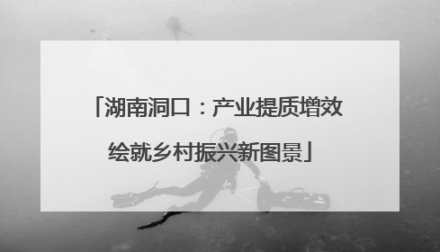 湖南洞口：产业提质增效 绘就乡村振兴新图景