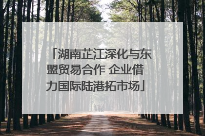 湖南芷江深化与东盟贸易合作 企业借力国际陆港拓市场