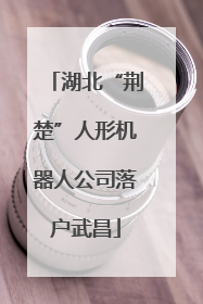 湖北“荆楚”人形机器人公司落户武昌