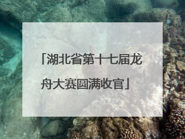 湖北省第十七届龙舟大赛圆满收官