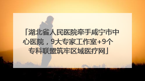 湖北省人民医院牵手咸宁市中心医院，9大专家工作室+9个专科联盟筑牢区域医疗网