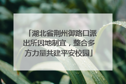 湖北省荆州御路口派出所因地制宜，整合多方力量共建平安校园