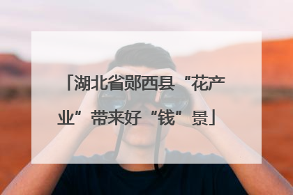 湖北省郧西县“花产业”带来好“钱”景
