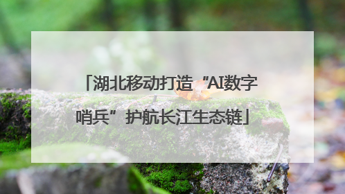 湖北移动打造“AI数字哨兵”护航长江生态链