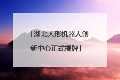 湖北人形机器人创新中心正式揭牌