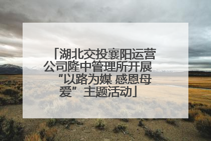 湖北交投襄阳运营公司隆中管理所开展“以路为媒 感恩母爱”主题活动