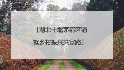 湖北十堰茅箭区铺就乡村振兴共富路