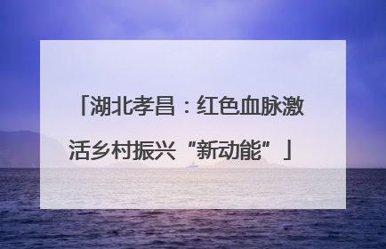 湖北孝昌：红色血脉激活乡村振兴“新动能”