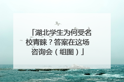 湖北学生为何受名校青睐？答案在这场咨询会（组图）
