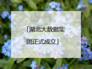 湖北大数据集团正式成立