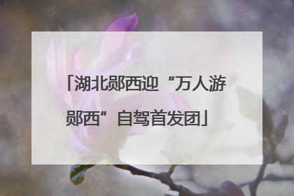 湖北郧西迎“万人游郧西”自驾首发团