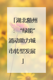 湖北随州：“绿能”涌动助力城市转型发展